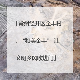 常州经开区金丰村：“和美金丰” 让文明乡风吹进门